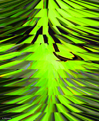 michelpoisson giphyupload art portrait pythonic GIF