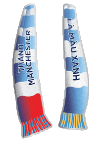 Football Soccer Sticker by Manchester City