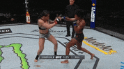 Mma Ufc GIF by ESPN