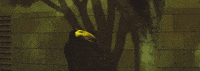 sub pop boom GIF by Clipping.