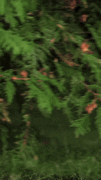 Friday The 13Th Halloween GIF by Crusoe