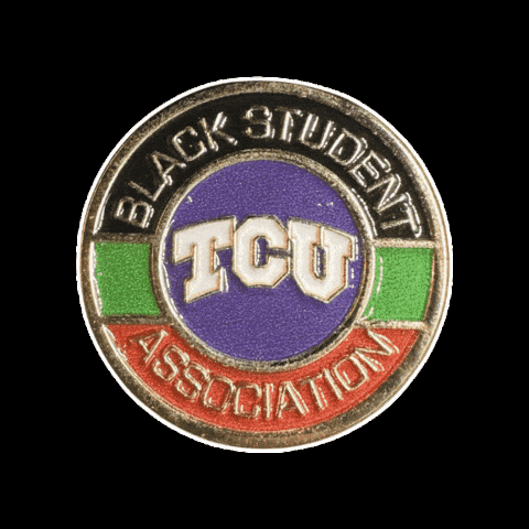 University Texas GIF by Pinned Pins