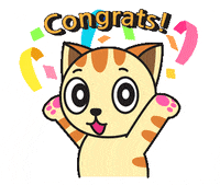 Happy Cat GIF by GoodMorningCat