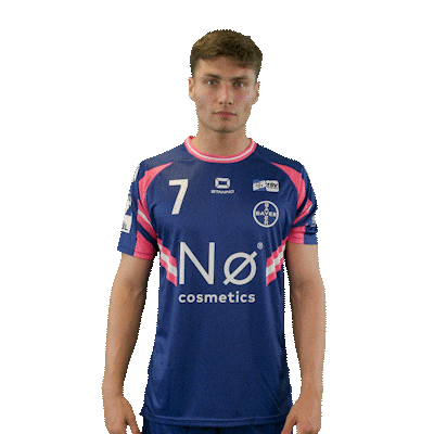 Handball Leis Sticker by DAIKIN HBL