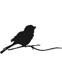 Fun Fly Sticker by Third + Bird