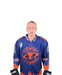 Sport Hokej Sticker by HCSTADION