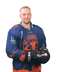 Sport Hokej Sticker by HCSTADION