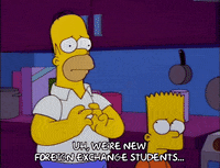 homer simpson GIF