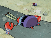 new leaf episode 13 GIF by SpongeBob SquarePants