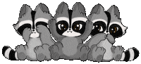 Raccoon Love Sticker