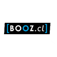 Cerveza Vino Sticker by BOOZcl