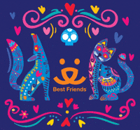 Day Of The Dead Cat GIF by Best Friends Animal Society