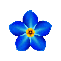 Flower Forgetmenot Sticker by Kappa Beta Gamma International Sorority