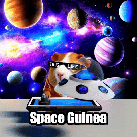 Guinea Pig Space GIF by Guinea Gambino