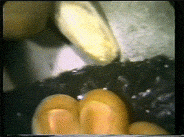 cmhgif knapping GIF by Canadian Museum of History
