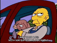 homer simpson GIF