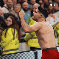 Celebrating Come On GIF by Wolves