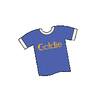 goldiefalafel philadelphia falafel goldie goldiefalafel Sticker