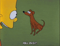 Season 2 GIF by The Simpsons