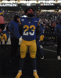 Los Angeles Rams Football GIF