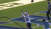 Football Nfl GIF by New England Patriots