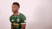 portland timbers spin GIF by Timbers