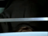 are you afraid of the dark nicksplat GIF