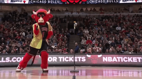 benny the bull basketball GIF by Chicago Bulls
