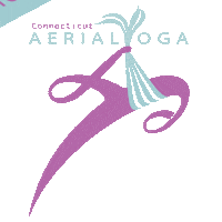 Cirque Circuslife Sticker by CT Aerial Yoga