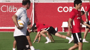 futbol team GIF by Sevilla Fútbol Club