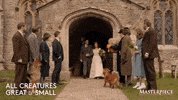 Happily Ever After Love GIF by MASTERPIECE | PBS