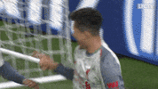 happy premier league GIF by Liverpool FC