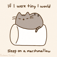 GIF by Pusheen