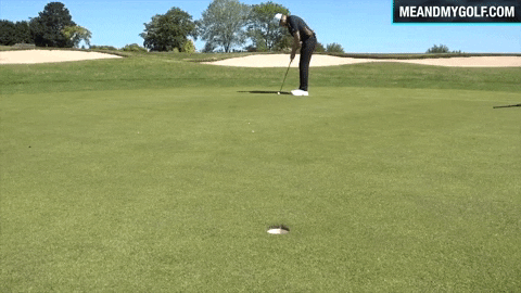 Putting Golf Course GIF by Me and My Golf