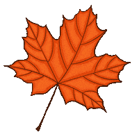Fall Autumn Sticker