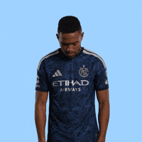 Mls GIF by New York City FC