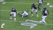 cincinnati bearcats celebration GIF by University of Cincinnati Football