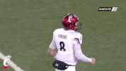excited cincinnati bearcats GIF by University of Cincinnati Athletics