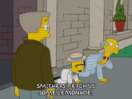 bart simpson episode 3 GIF