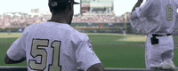 College World Series Baseball GIF by NCAA Championships