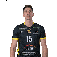 Monster Volleyball Sticker by PGE GiEK Skra Bełchatów