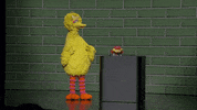 Sesame Street gif. Big Bird nods enthusiastically while standing on stage next to a podium, which small orange-haired puppet Cody stands behind nodding as well.