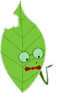 MangioQui love heart hello kiss Sticker