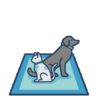 MyMagicCarpet cat dog home puppy Sticker