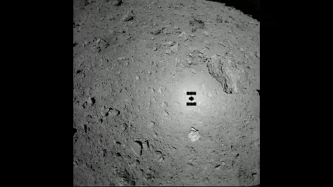 tulsimo giphygifmaker GIF