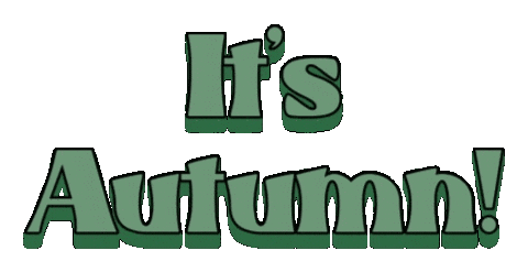 SouthBronxNative fall autumn seasons Sticker