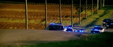 age of extinction transformers GIF