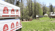 Construction Building GIF by JC Property Professionals