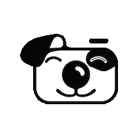 Tierfotostudio dog hund tierfotostudio wien wien tierfotostudio Sticker