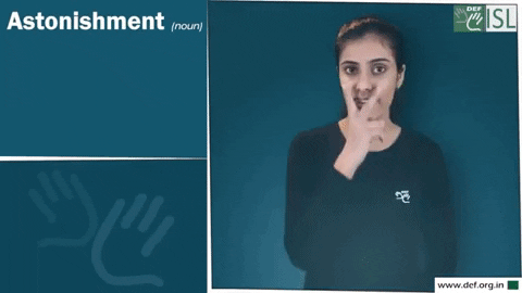Sign Language Astonishment GIF by ISL Connect